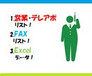 ※休止中※営業の方必見！テレアポ営業用リスト250件を作成します　※全国・全業種※ イメージ2
