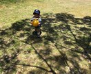 お住いの環境で自然体験をプロディースします 都会でもできる!親子で楽しむ自然体験プログラムを作ります。 イメージ1
