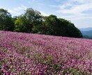 辛い職場◆あなたを苦しめる上司の愚痴をお聞きします 嫌な上司をとことんdisってストレス解消してください。 イメージ3