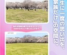 広告・Web用。高品質な写真素材の撮影代行をします プロの機材とレタッチ技術で、ビジネスに最適な1枚を提供します イメージ2