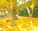 風景、観光地、メニューなどを撮影しいます 撮影場所に行った気持ちになろう イメージ3