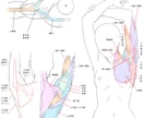 あなたのイラストを作画のプロ視点から添削します アニメの作画監督が「もっと絵が上達したい」を応援します。 イメージ4