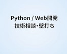 Python・Web開発の技術相談に乗ります 現役エンジニアが設計の不安を整理します イメージ1