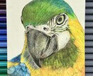 躍動感溢れる愛おしいペット似顔絵を描きます あくび、変顔、おねだり…うちの子らしい瞬間をアートに イメージ2