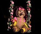 主にディズニーランド、シーの写真素材を提供致します まるで自分自身がその場に居るような一人称視点の撮影をします！ イメージ9
