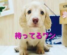 低音ボイス☆どんなお話でも優しく聞きます 何でもOK★話し相手★愚痴★寂しい★雑談★悩み イメージ1