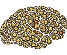 発達障がいを抱えた方のカウンセリングします 発達障がいを抱えてる、そうかもと思っている人、話しませんか イメージ2