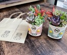 多肉植物の寄せ植えお作りします 多肉植物の専門家があなたにピッタリの寄せ植えをお作りします イメージ10