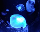 お悩み、愚痴聞きます 悩みや愚痴を吐き出して、スッキリしましょう♪ イメージ1