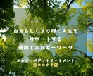ペットの不安軽減☆ホテル滞在を大天使が守護します ★大天使アリエル★ペットへの遠隔ヒーリングとプロテクション イメージ3