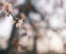 人知れず頑張っているあなたのことを褒めます 誰も認めてくれない！そんな不満をぶつけて下さい。 イメージ9