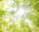 気になるあの人の気持ちをリーディングします あなたに寄り添うメッセージをお伝えしていきます イメージ5