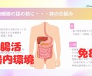 子育てに役立つ栄養学の基礎知識をお伝えします 元気で賢い子に育てたいなら知っておきたい【食物繊維】の基本 イメージ2