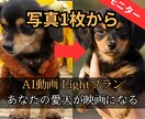 写真1枚でOK！愛犬のショート映画を作ります SNS総フォロワー１２万人！ AI技術で愛犬を映画の主人公に イメージ1