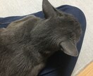 辛い事や愚痴、なんでも聞きます 話す相手がいない方、僕が聞きます イメージ1