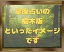 生まれたお日にちであなたの「トリセツ」作ります 日本ではまだ馴染みのない誕生木占い◇ひとつ試してみませんか？ イメージ3