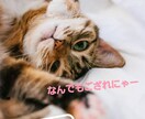 カウンセラーがあなたの気持ちに寄り添います 暇潰しでも良し！話したいことたまってませんか！？ イメージ1
