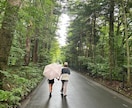 30日間伴奏❤️憧れの部屋作りを全力サポートします ビデオチャット×2回無料★心の整理も優しく応援　依存男女OK イメージ6
