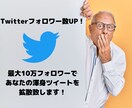 Twitterフォロワーを拡散して増やします 最大10万フォロワーで拡散！！ イメージ1