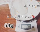 ハムスターの相談に乗ります 薔薇です。お世話になってます。ハムスター飼ってます。 イメージ9