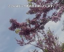 ふりがな字幕で日本語・子ども向け動画を作ります 字幕or音声を送るだけ！ふりがな付き字幕データを作成します イメージ7