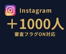 インスタのフォロワーを1,000人増やします 審査フラグ有効でも対応可能⭐Instagramフォロワー増加 イメージ1