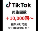 TikTok再生回数＋10,000回以上宣伝します ✅再生回数増加確実！/振り分け可能！ イメージ1