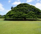 卓球・ゴルフができます。お話だけでもできます 空いてる時間に利用してもらえれば イメージ1