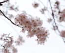 リアルタイムであなたの希望の話し相手になります 愚痴・相談・吐き出したい方におすすめ！ イメージ1