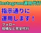 インスタ運用代行！相場より安い！サポートします 懇切丁寧！SNS運用代行を通してビジネス活動をサポートします イメージ1
