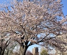 60分！即レスでお話し相手になります 人生経験それなりの30代女子があなたのお話し聞きます♪ イメージ9
