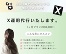X運用代行いたします 実績ある現役SNSプレイヤーによる【X専用運用サービス】 イメージ1