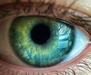 最新の美容気功で瞳とオーラを輝かせ縁結びをします 7つの気功技術伝授と内部表現書き換えで選ばれる存在に！ イメージ4