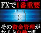 MT5：FXの適正ロット自動計算ツールでございます <MT5>MoneyManagement イメージ1