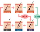 育毛・美髪相談にのります ６か月で30％の髪の増量に成功した整体師がアドバイス イメージ6