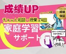 ４回授業＋オーダーメイド問題作成！学習管理します 現役理系青学生の授業/中学～高校数学まで対応可能/高評価 イメージ1