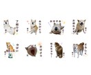 ペットのお写真でLINEスタンプ作ります お渡し後ご自身で加工・販売もOK♡オプションで申請もサポート イメージ4