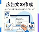 Meta広告の初期設定を代行します 事業に集中するために、面倒な広告設定はお任せください！ イメージ4
