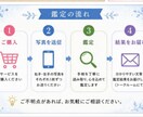 手のひらの写真2枚で本格手相鑑定します 性格・仕事・恋愛・金運を丁寧に鑑定 イメージ4