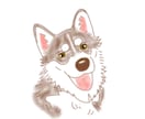 愛犬のイラストを描きます 世界一可愛いあなたの愛犬イラスト柔らかいタッチのイラスト イメージ4