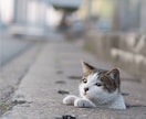 その日のうちに英文添削します 自分の書いた英文を添削してほしい！そんな貴方にオススメです！ イメージ1