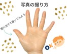 脱！天職迷子！手相×数秘の｢天職診断｣になります お値段以上♡ボリューム鑑定！写真の手相に色付け解説付き イメージ3