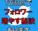 Twitterフォロワーをファンにするコツ教えます Twitterで稼ぐにはプロフィールと固定ページで心をつかむ イメージ1