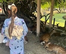 初めはメッセージでお受けいたします お話大好きです☆話しやすいとよく言ってもらえます☆ イメージ1