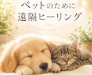 大切な家族であるペットへ遠隔ヒーリングお届けします その子本来の穏やかな状態へ整うようサポートいたします。 イメージ1