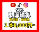 YouTube向け動画編集承ります 現役SNSマーケターが魅力的な動画を作ります イメージ1