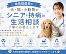 シニア・持病のあるペットの生活相談をお受けします 現役獣医師がシニアや持病のあるペットに寄り添います イメージ1