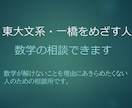 東大文系一橋をめざす人、数学全般何でも相談できます 数学で困っている人、ご相談ください。 イメージ1