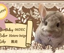 オリジナルうちの子名刺(両面)つくります <ペットの写真を使ったオリジナルうちの子名刺(両面)> イメージ9