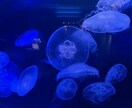 チャット感覚で愚痴や相談事をお聴きします あなたの心を少しでも楽にするお手伝い イメージ2